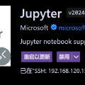 VS连接远程服务器的conda的jupynotebook